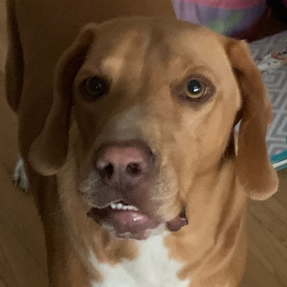 Meet your Posher, Janna - Picture 1 of 1